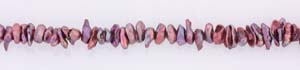 Freshwater Pearl Beads