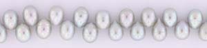 Freshwater Pearl Beads