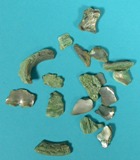 African Abalone Pieces:  Green