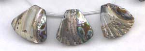 Abalone Fancy Drop Beads
