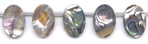 Abalone Flat Oval Drop Beads