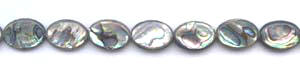 Abalone Flat Oval Beads