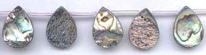 Abalone Beads