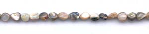 Abalone Tumbled Nugget Beads