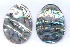 Abalone Pendant Beads