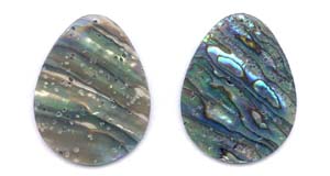 Abalone Flat Pear Shell Pendant Beads