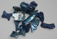 African Abalone Pieces: Blue