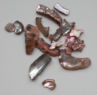 African Abalone Pieces: Copper