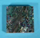 Natural Paua Shell Tiles