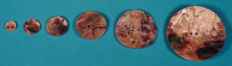 African Abalone Shell Buttons