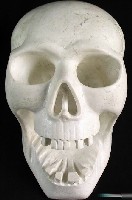 Chinese Howlite Skulls