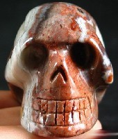 Crazy Lace Agate Skulls