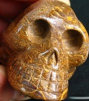 Elephant Skin Jasper Skulls