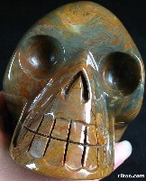 New Network Jasper Skull