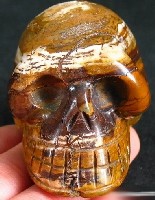 Zebra Jasper Skulls