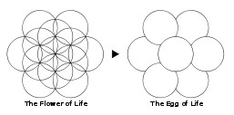 Egg Of Life Symbols