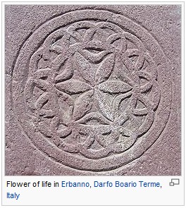 Flower Of Life Symbols In Erbanno