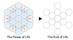 Fruit Of Life Symbols