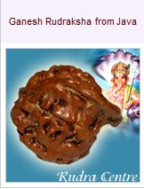 Ganesh Mukhi Rudraksha Beads