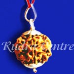 Guru Rudraksha Pendant