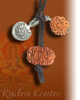 Radiance rudraksha 