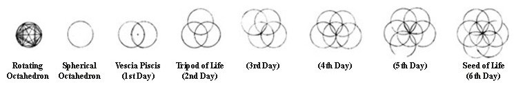 Seed Of Lif Symbols Progression