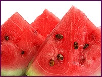 Watermelon Seed Carrier Oil