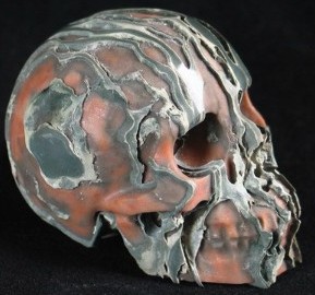 3 Dimensional Skulls