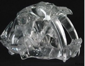 Crystal Saber Tooth Tiger Skulls