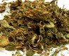 Wiccan Magical Herbs