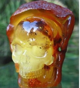 Amber Skulls