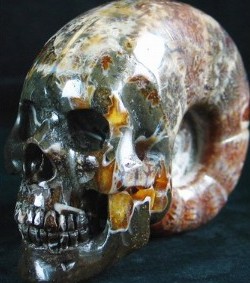 Stone Skulls