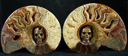 Stone Skull Bookends